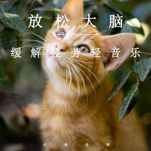 别c我⋯啊⋯嗯上课呢男男视频
